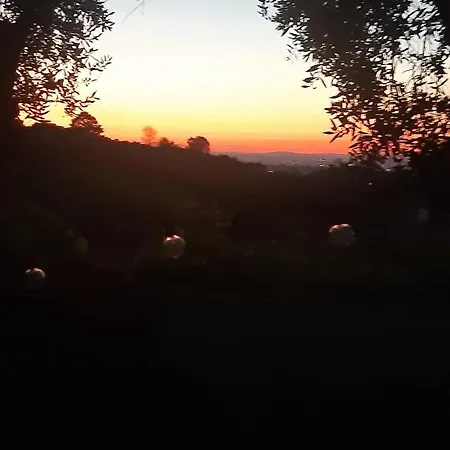 Poggio Agli Ulivi Farm stay