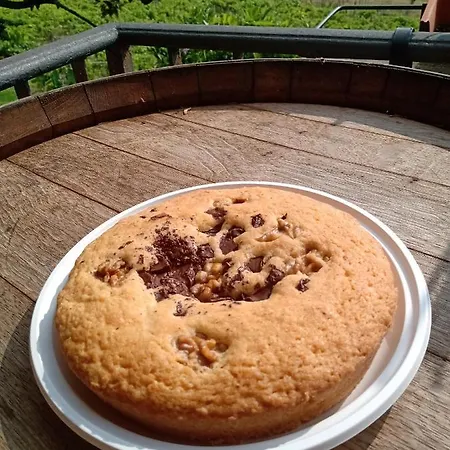 Poggio Agli Ulivi Frascati