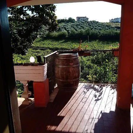 Farm stay Poggio Agli Ulivi