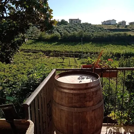 Poggio Agli Ulivi Farm stay