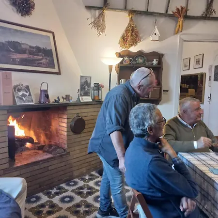 Farm stay Poggio Agli Ulivi Frascati