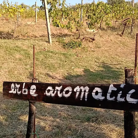 Poggio Agli Ulivi