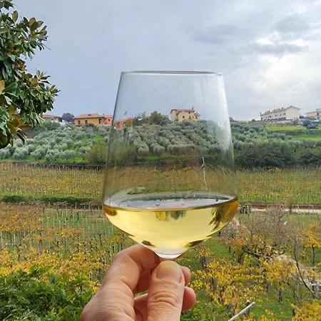 Poggio Agli Ulivi Frascati