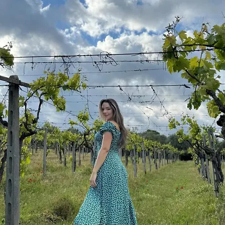 Poggio Agli Ulivi