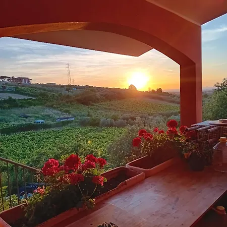 Poggio Agli Ulivi *