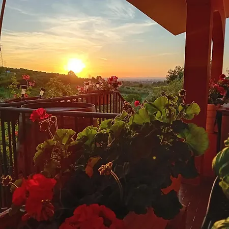 Alojamento de Turismo Rural Poggio Agli Ulivi