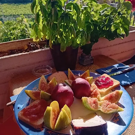 Poggio Agli Ulivi