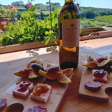 Poggio Agli Ulivi Alojamento de Turismo Rural *